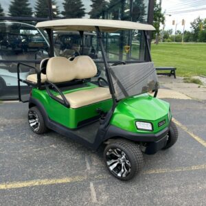 2020 4 passenger Electric